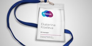 Работа в компании «Рэйдикс» (RAIDIX)